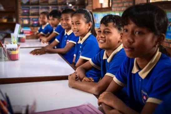 Smiling Gecko - Kambodscha QCAM Donation