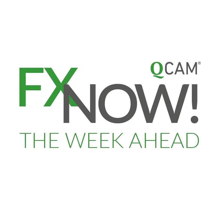 Logo QCAM FXNOW THE WEEK AHEAD - central bank meeting